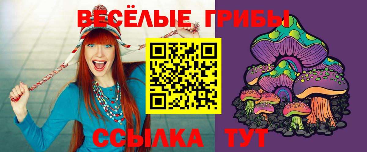 Псилоцибиновые грибы Cubensis  что такое   Полысаево  Вход с VPN 